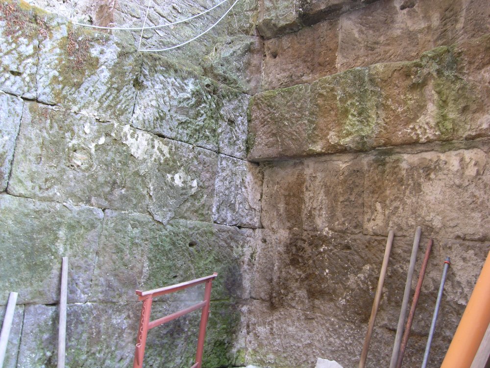 P1010137.JPG