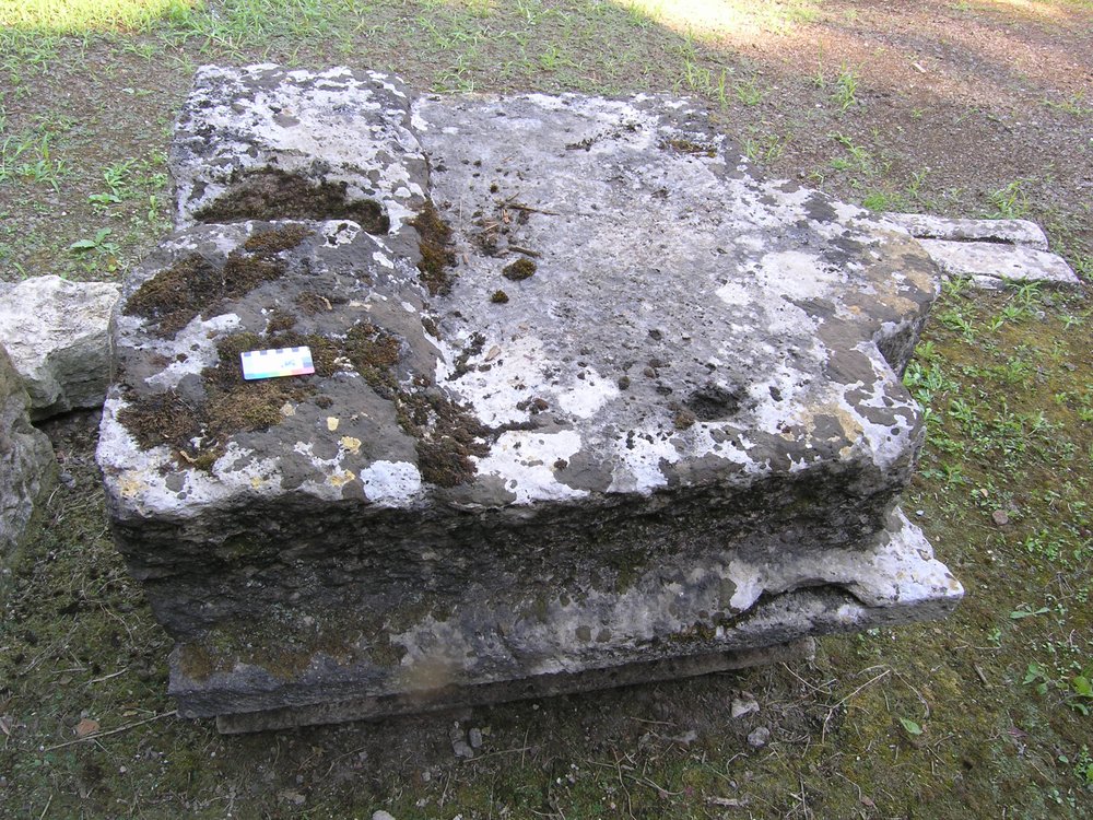 P1010046.JPG