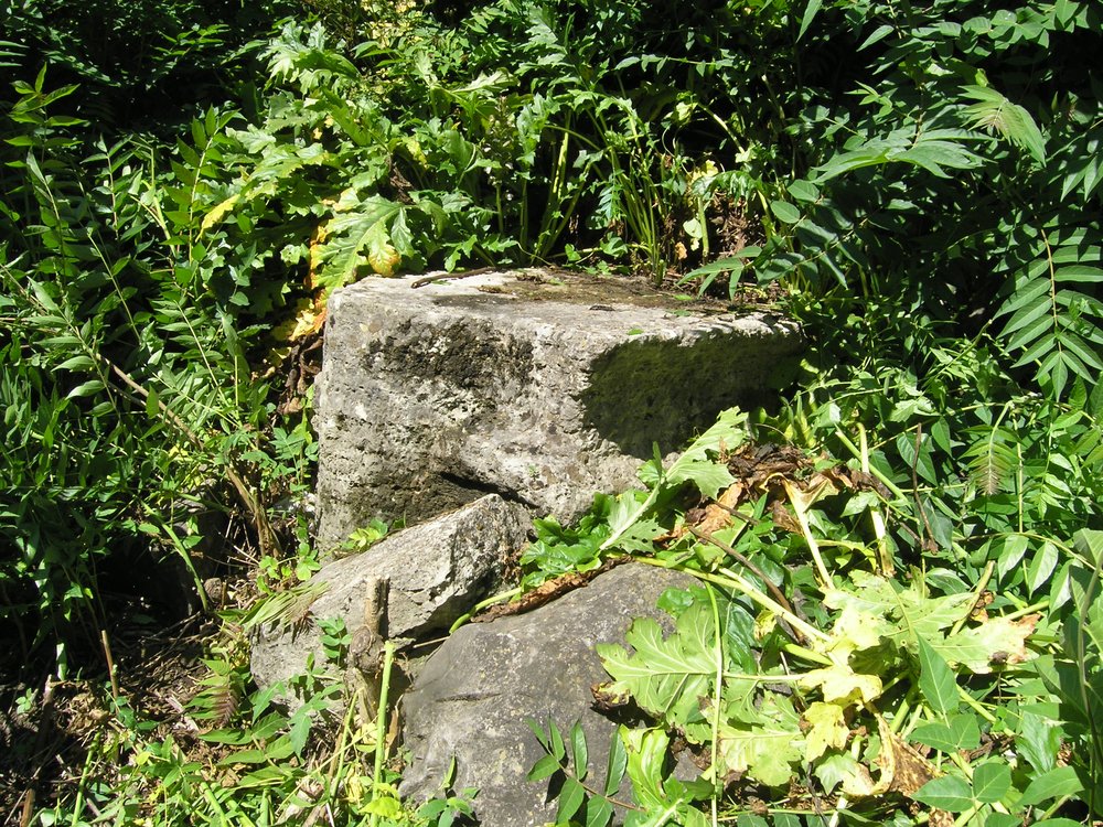 P1010161.JPG