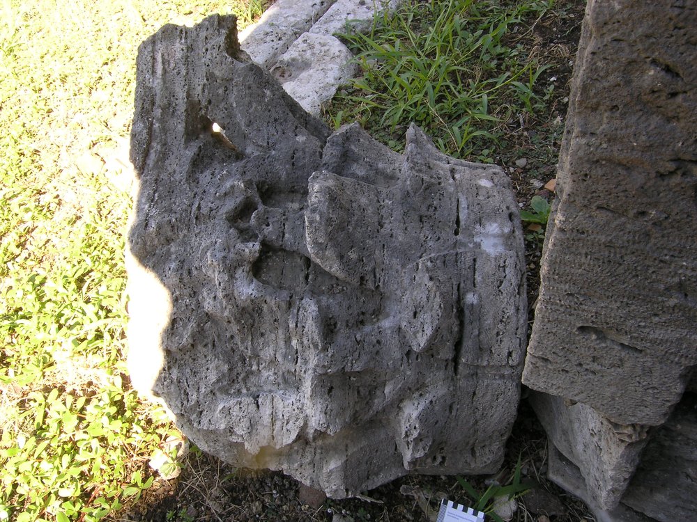 P1010070.JPG