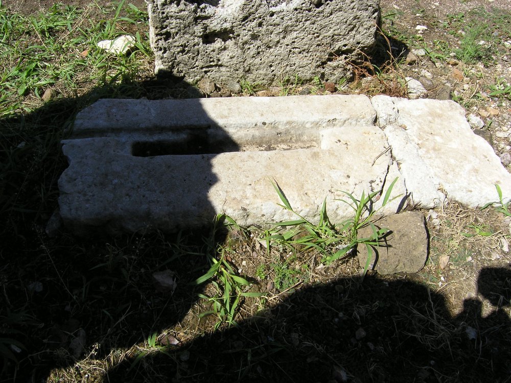 P1010110.JPG