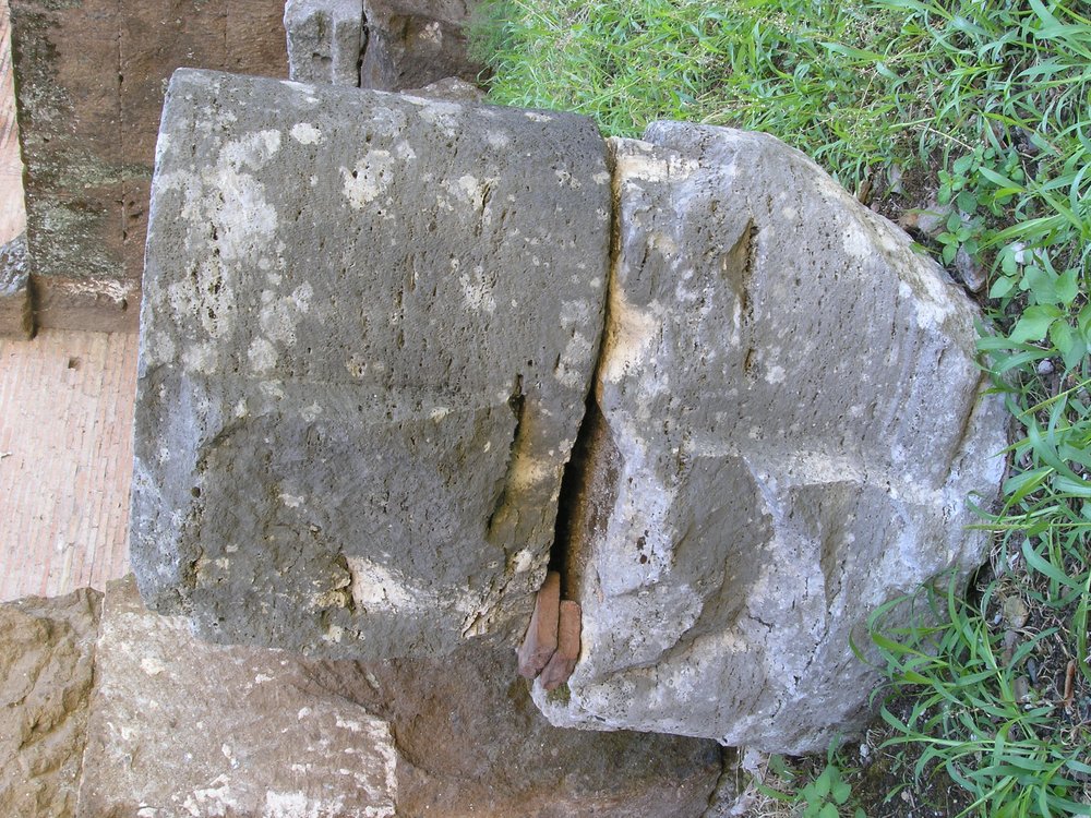 P1010017.JPG