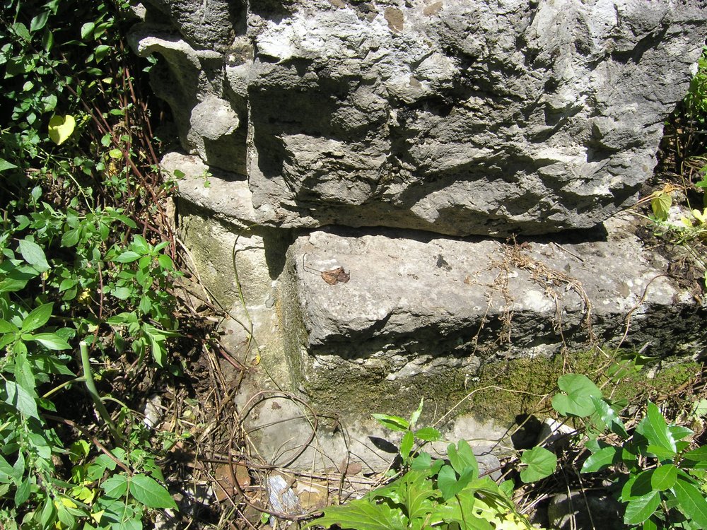 P1010174.JPG