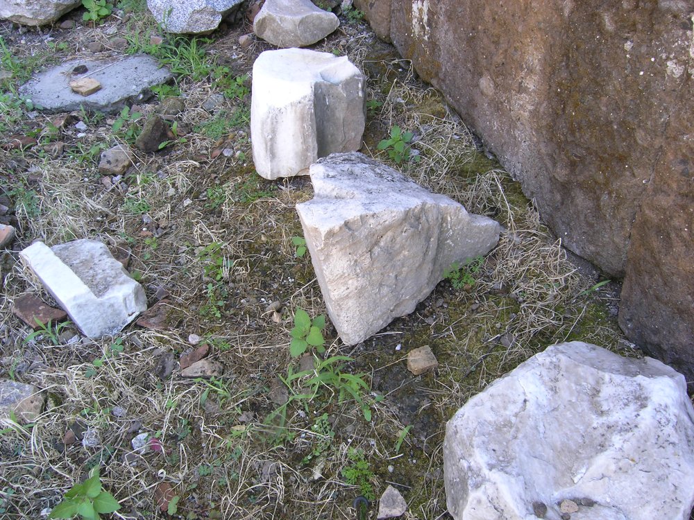 P1010108.JPG