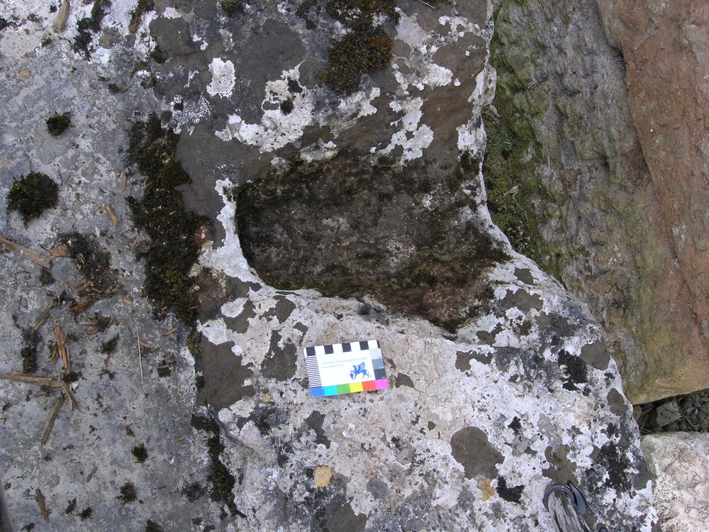 P1010040.JPG