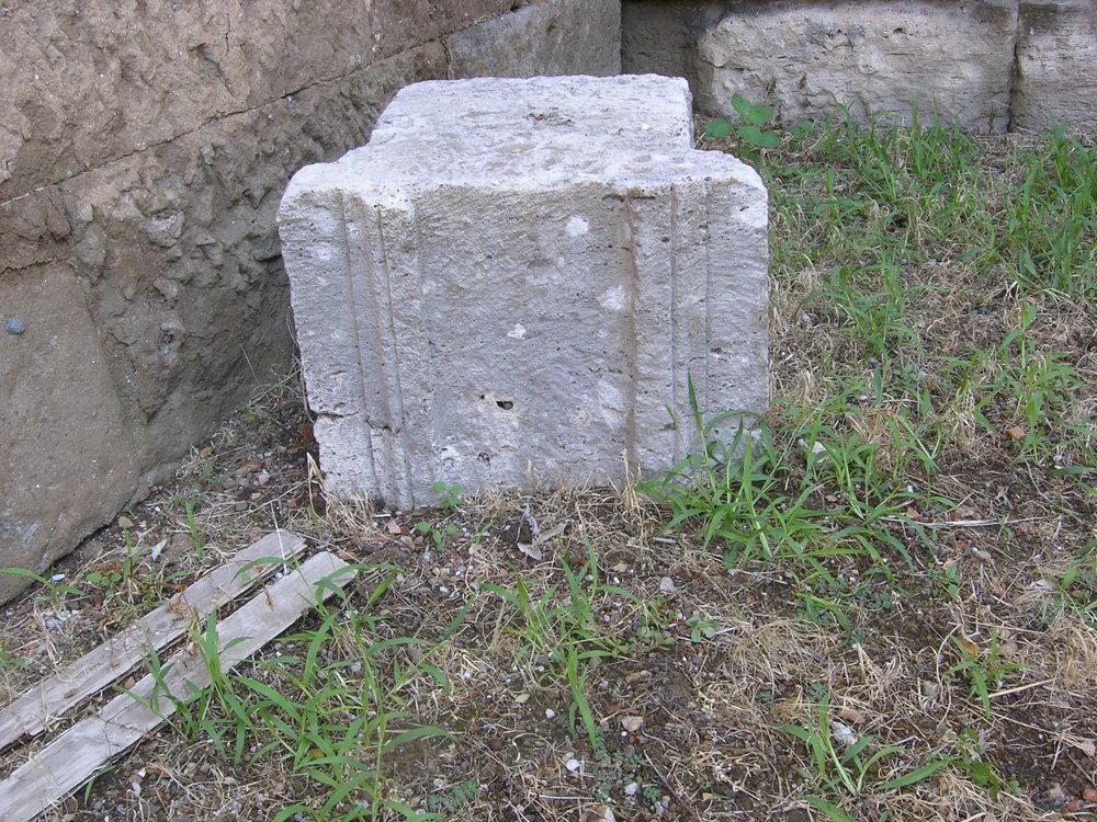 P1010098.JPG
