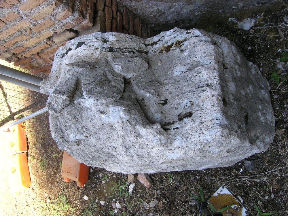 P1010077.JPG