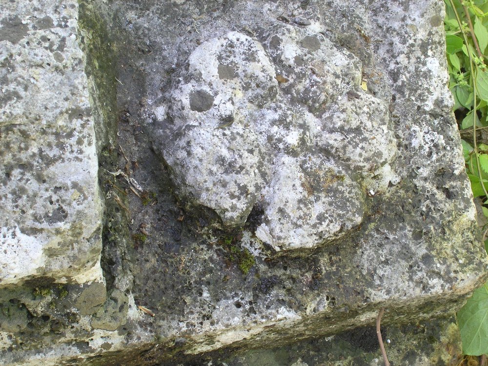 P1010170.JPG