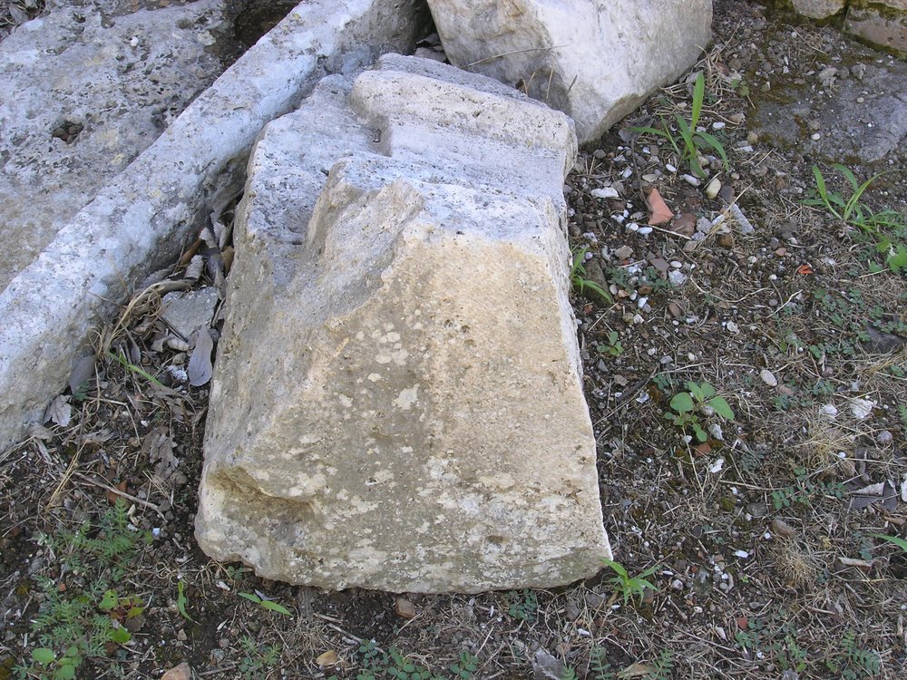 P1010151.JPG