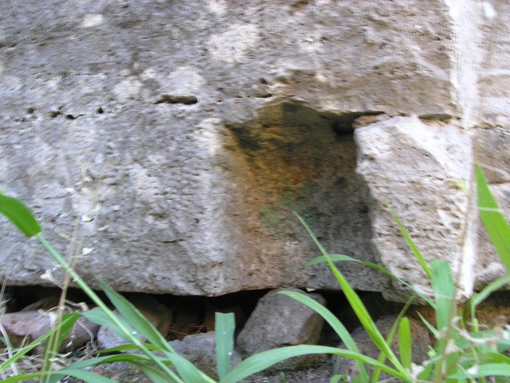 P1010013.JPG