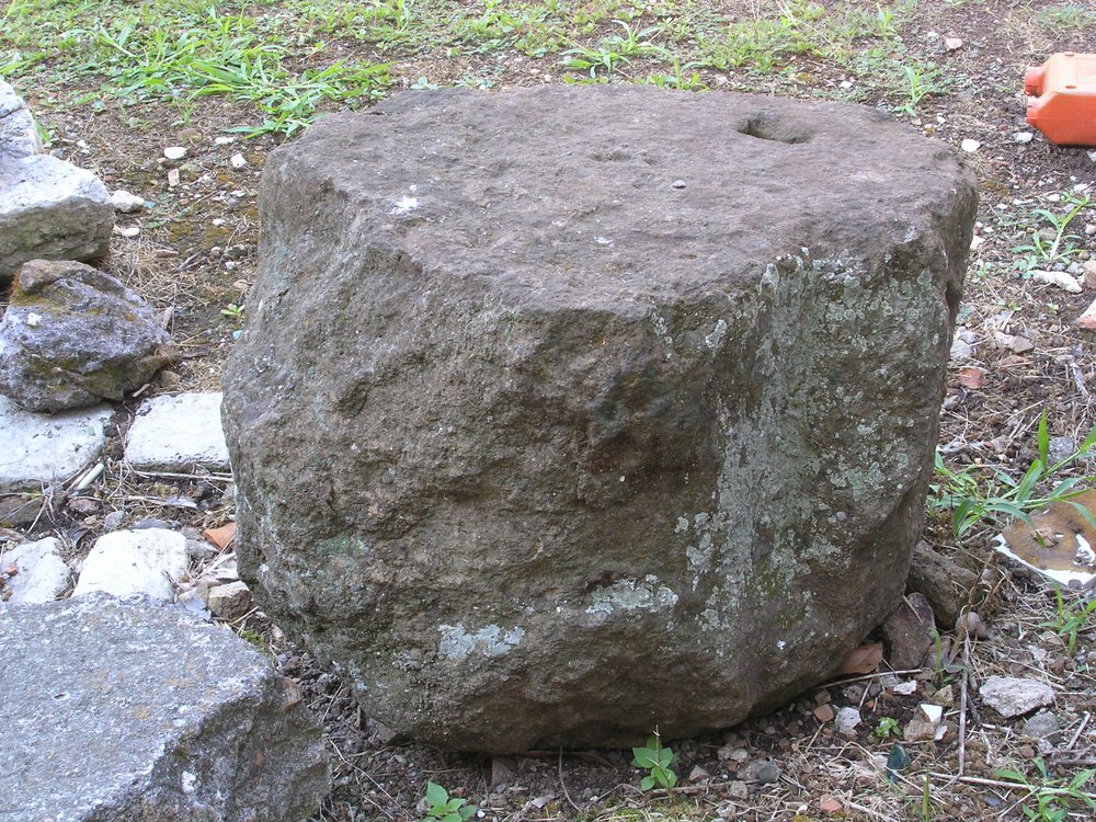 P1010030.JPG