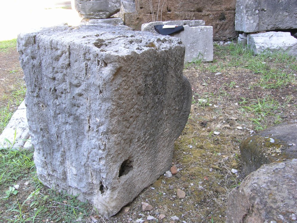 P1010057.JPG