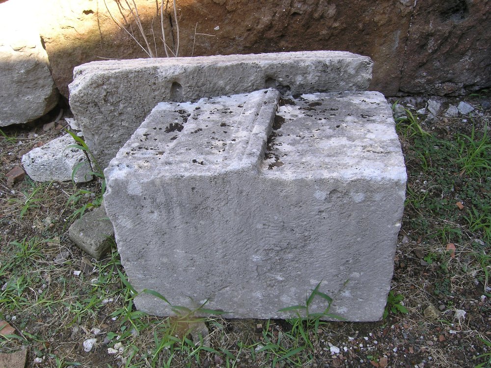 P1010120.JPG