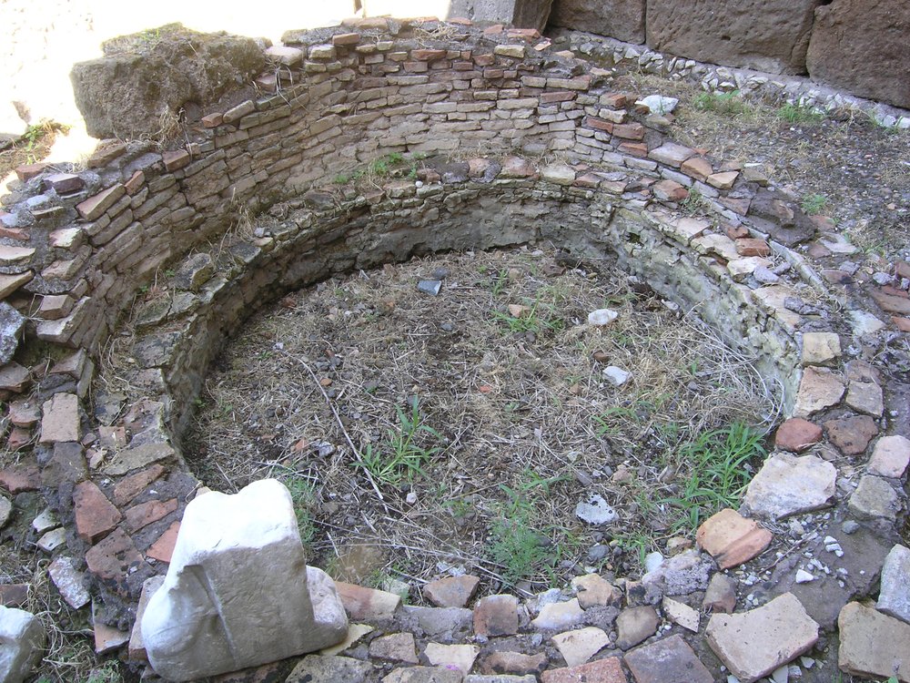 P1010086.JPG