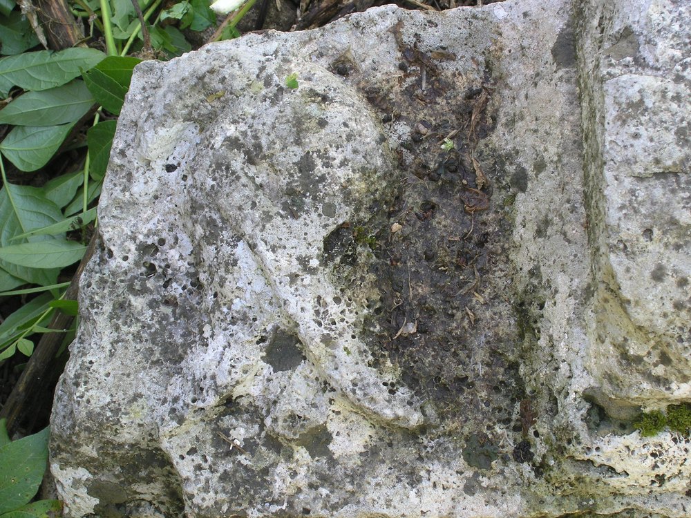 P1010169.JPG
