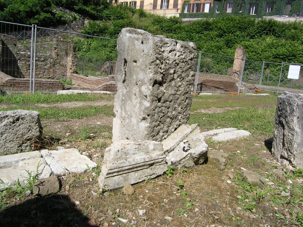 P1010107.JPG