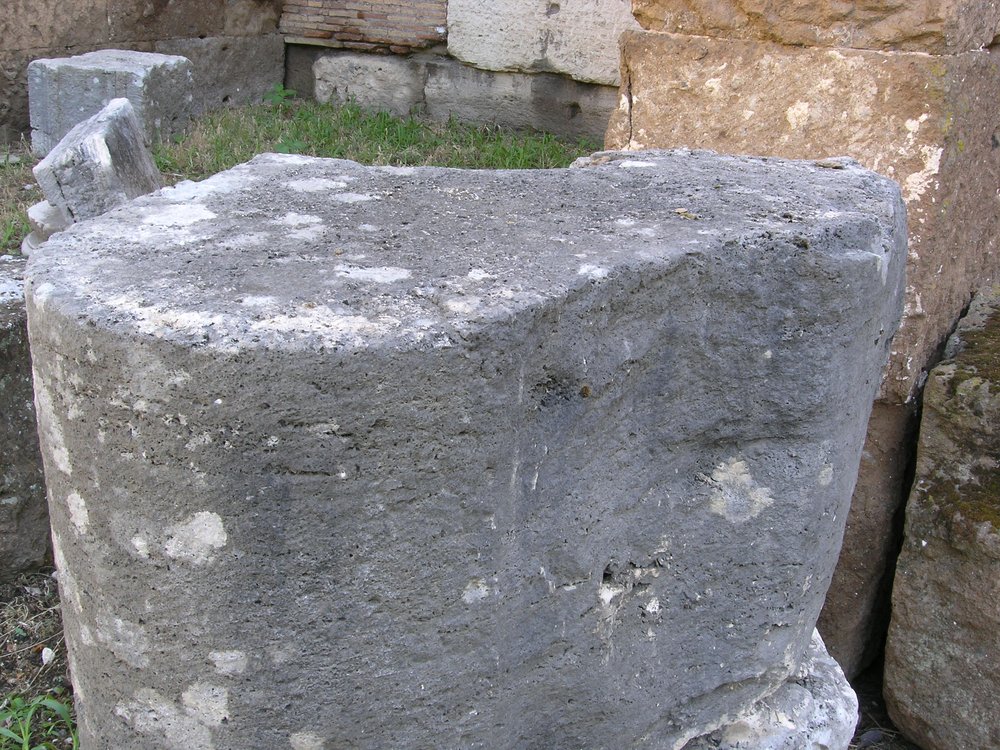 P1010019.JPG