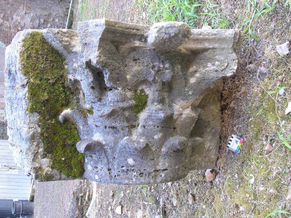 P1010053.JPG