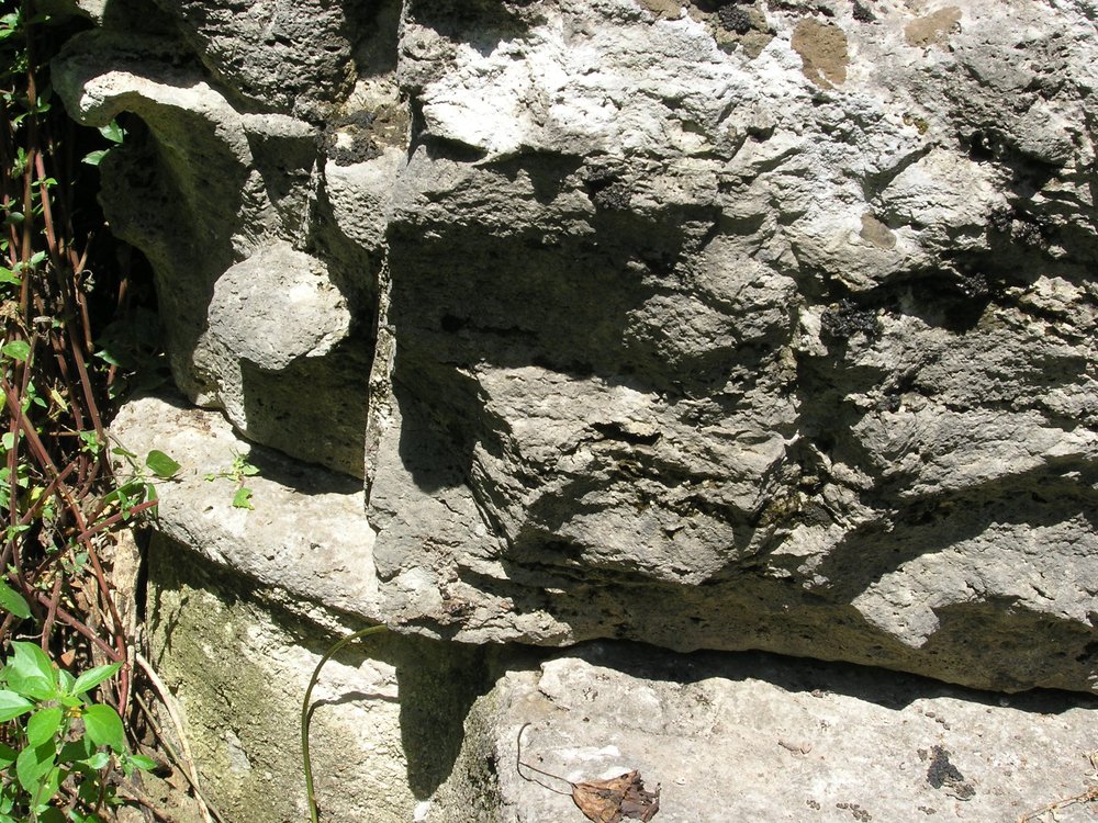 P1010172.JPG