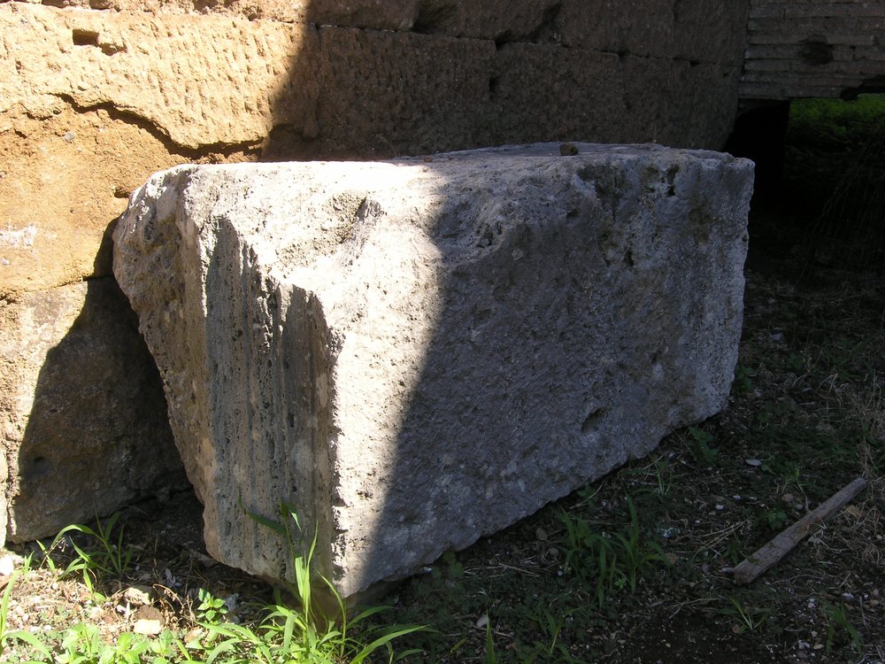 P1010094.JPG