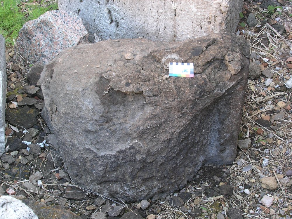 P1010021.JPG