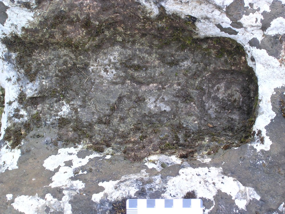 P1010043.JPG
