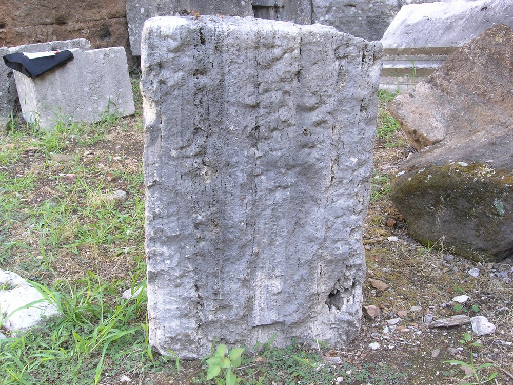 P1010056.JPG