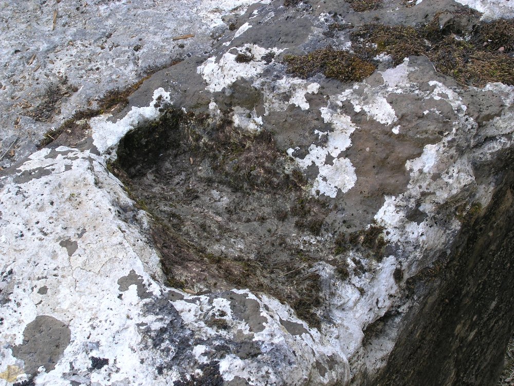 P1010049.JPG