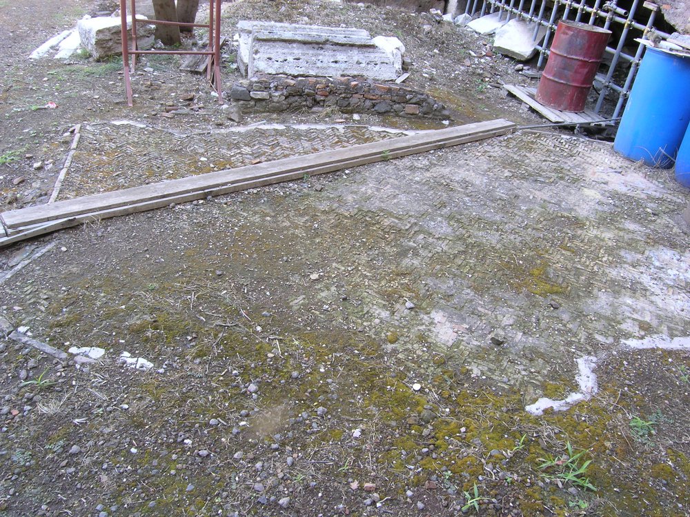 P1010131.JPG