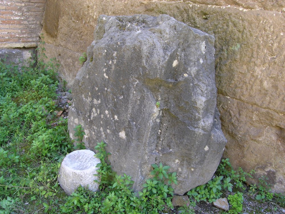 P1010156.JPG