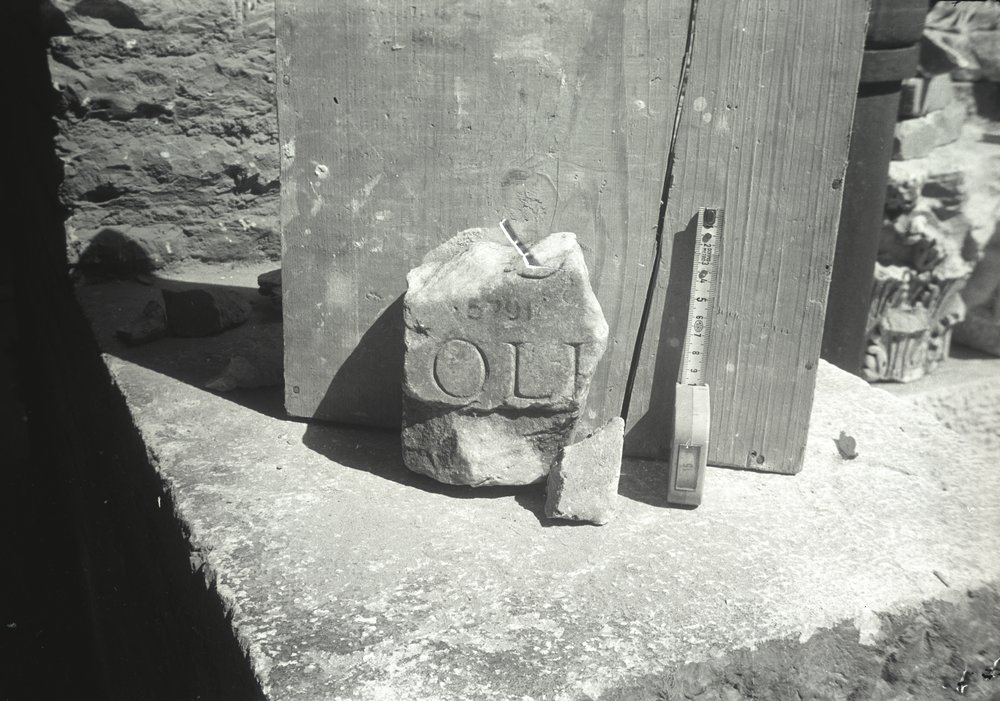Image37.tif