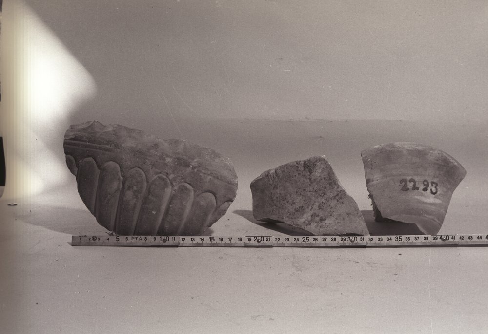 IMG2381.tif