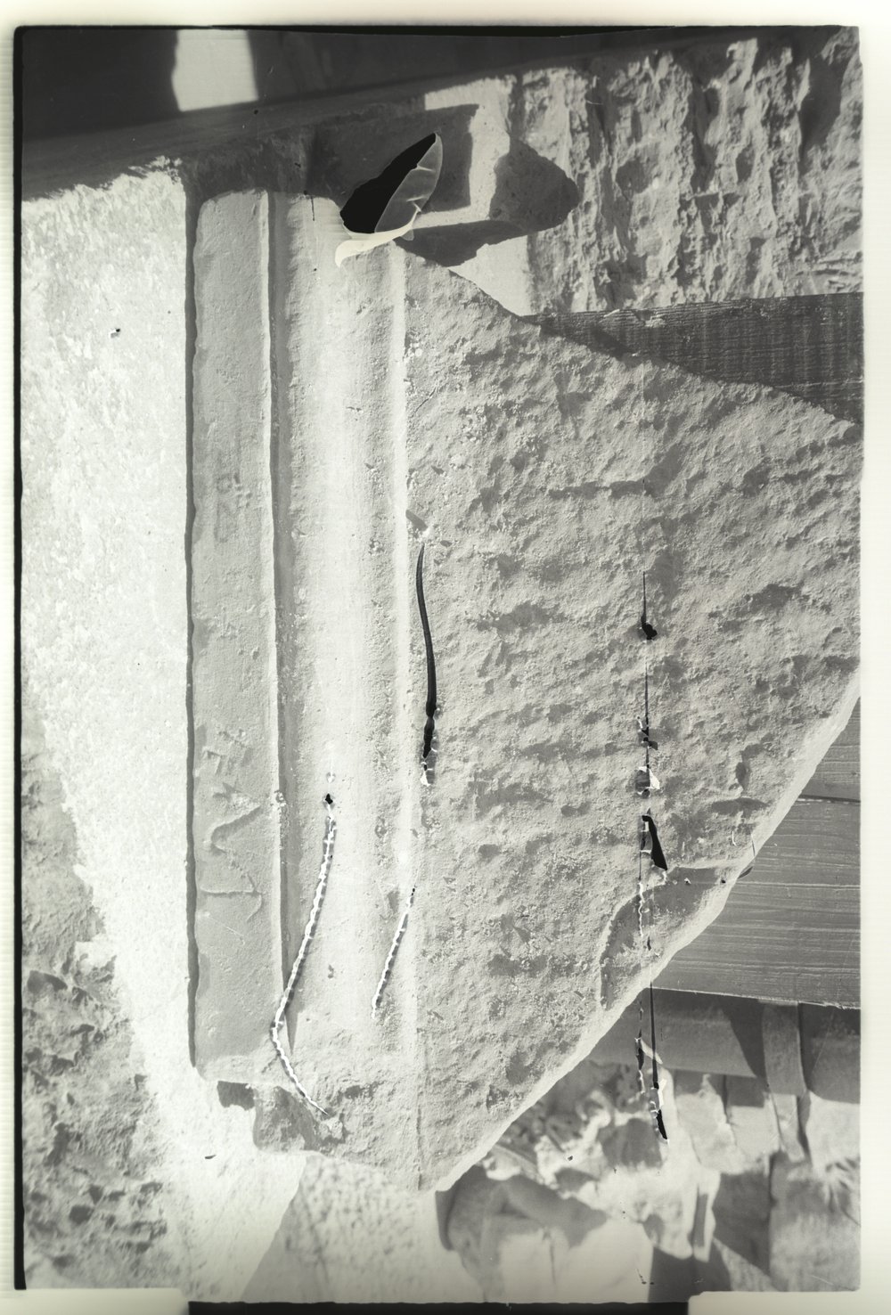 Image74.tif