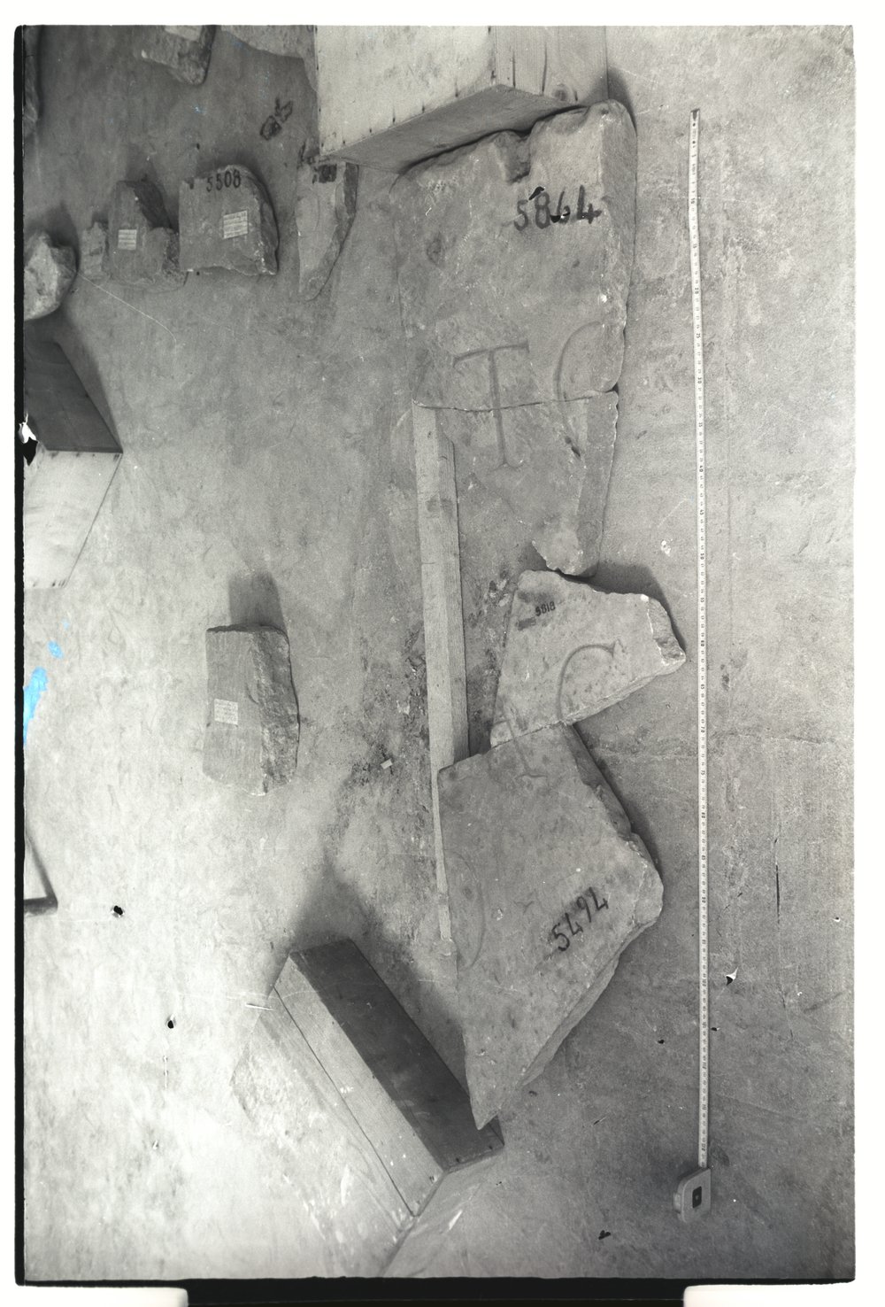 Image37.tif