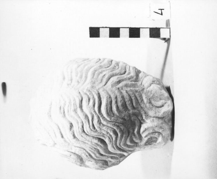 A79 - 1061.jpg