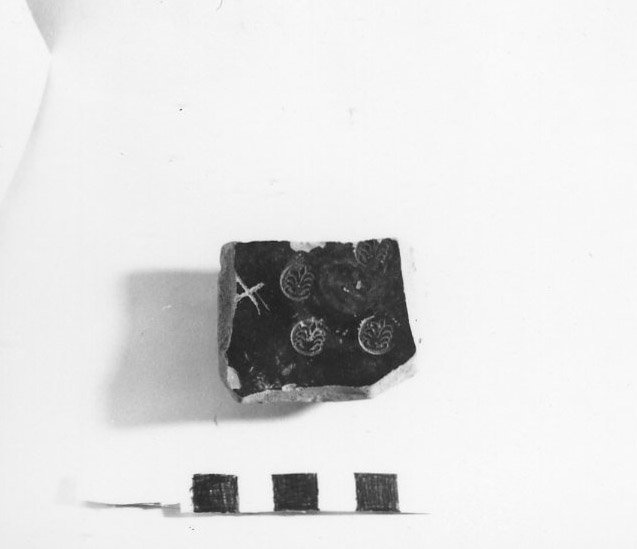 A79-889.jpg