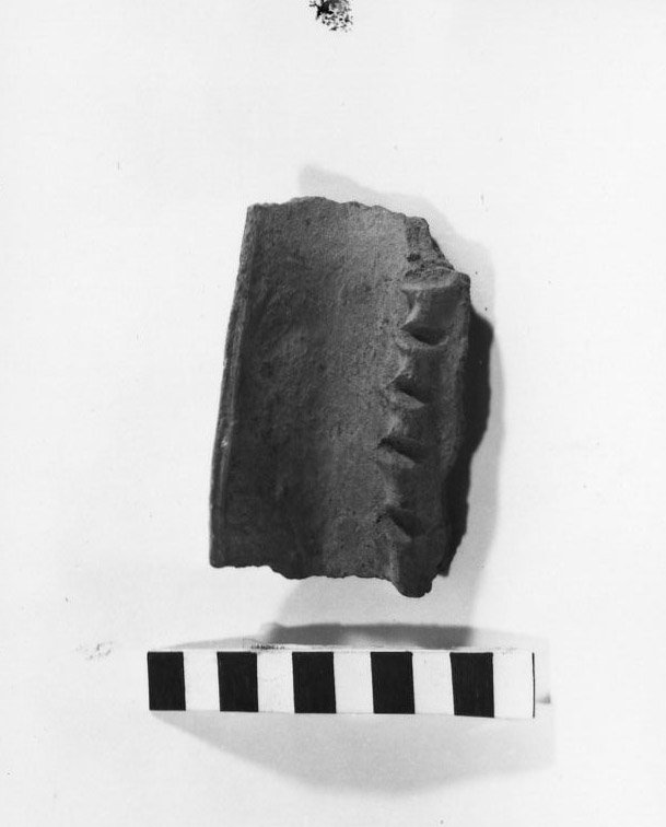 A79 - 762.jpg