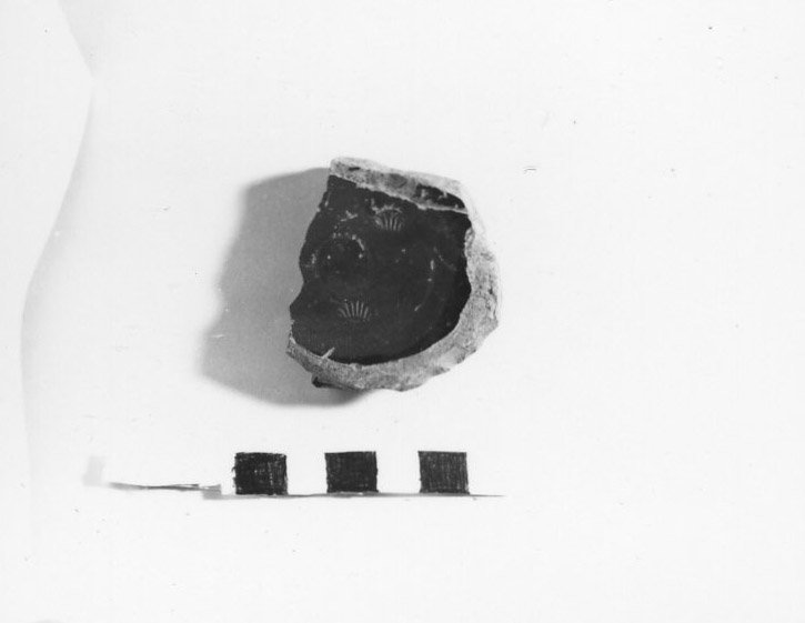 A79-887.jpg