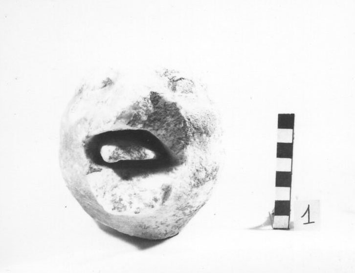 A79 -964.jpg