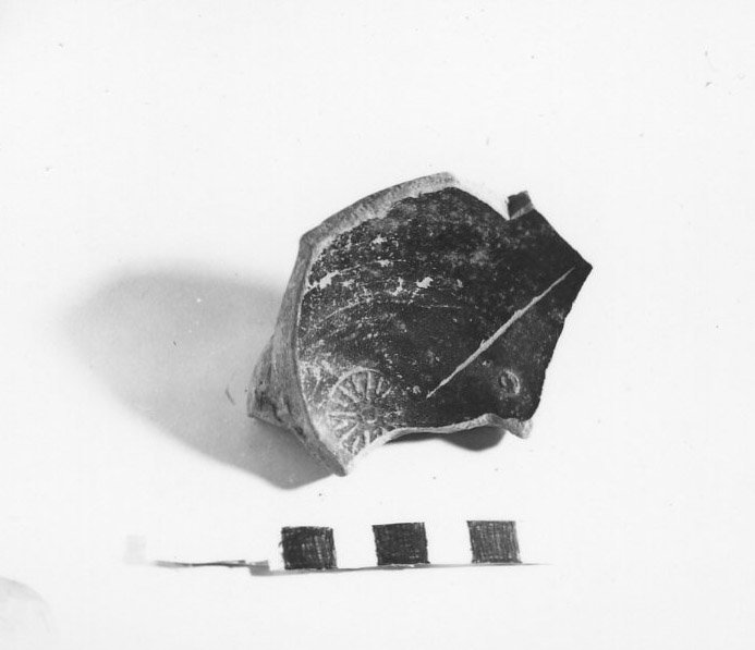 A79-890.jpg