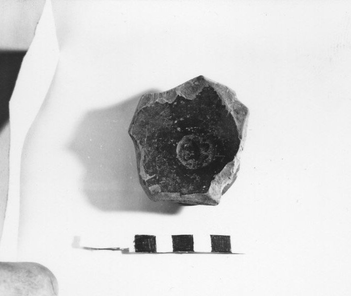 A79-884.jpg