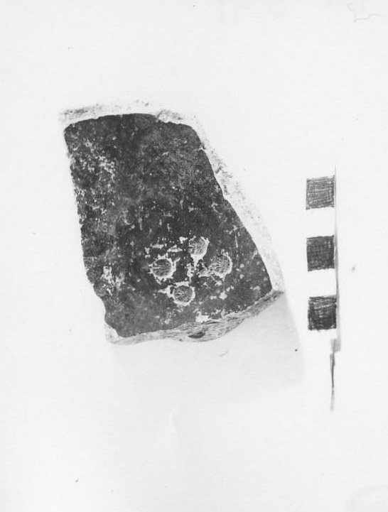 A79 - 844.jpg