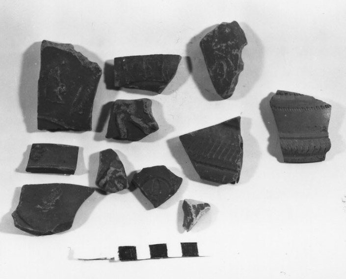 A79-886.jpg