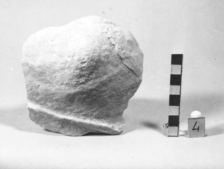 A79 -1074.jpg