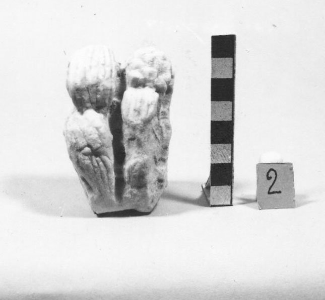 A79 - 986.jpg