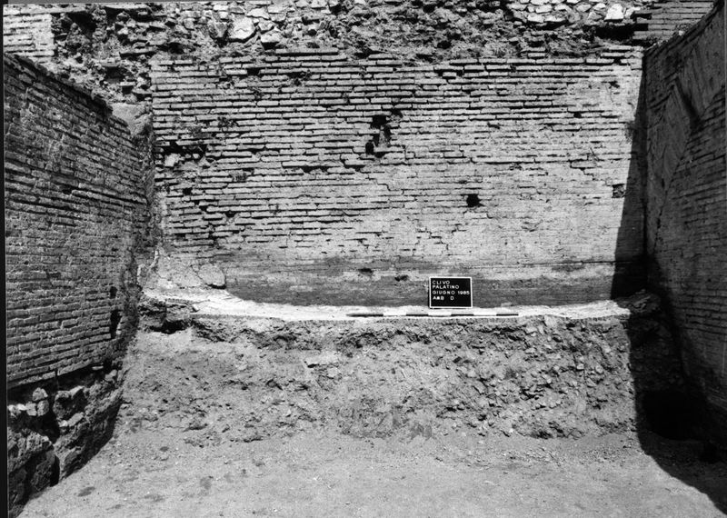 005564 - restauro - Clivio Palatino, ambiente D: lavori 1985
