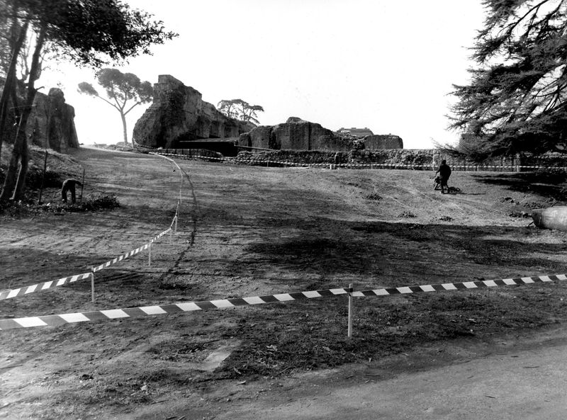 005631 - restauro - Clivio Palatino: lavori di sistemazione 1982