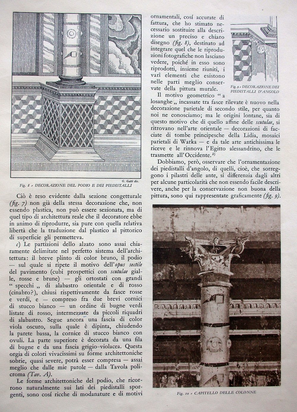 pag11.jpg