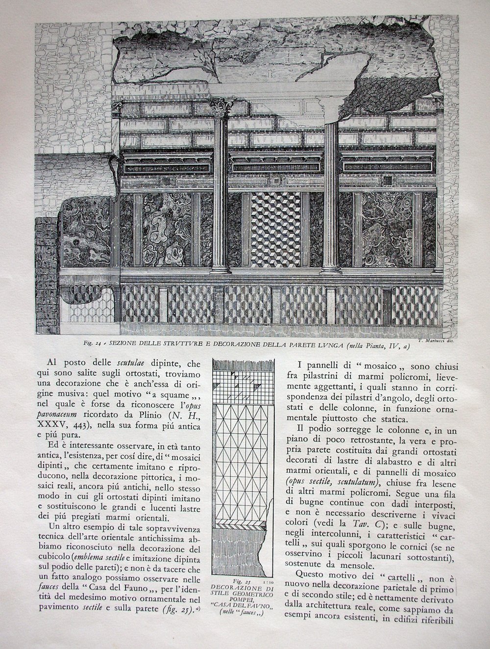 pag22.jpg