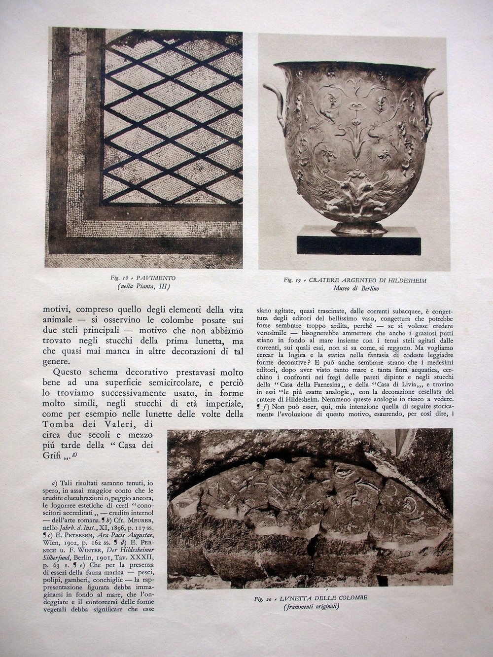pag19.jpg